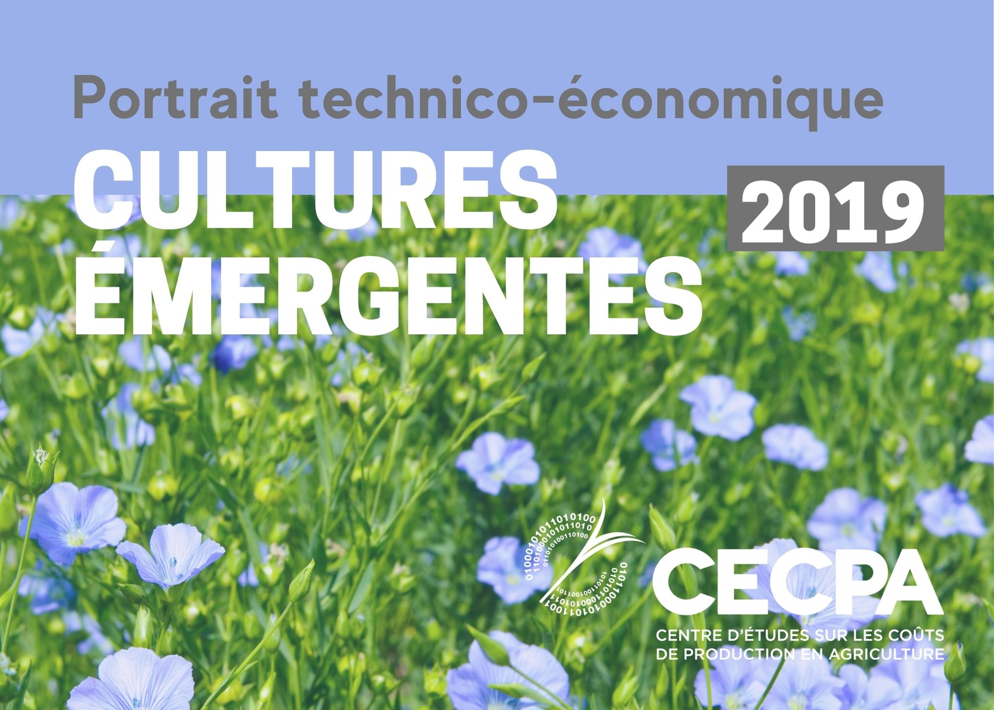 Récentes publications : Études technico-économique - Cultures émergentes 2019